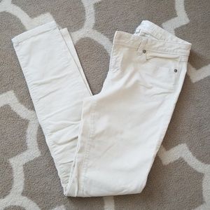 Lauren Conrad Corduroy Pant